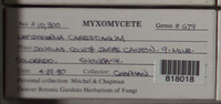 Image Associated With the Occurence